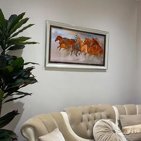 Apartmenti C1 Dhoma 34 * Velipojë